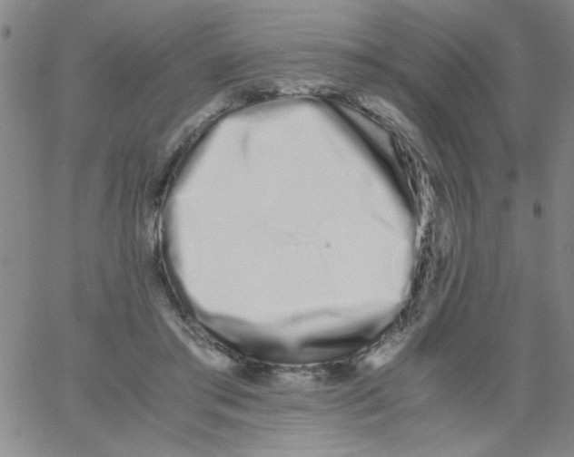 X0000062930405200602101927