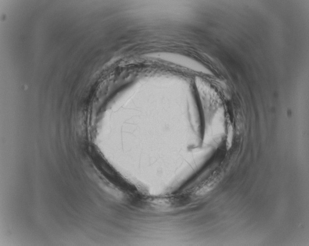X0000062930409200602101927