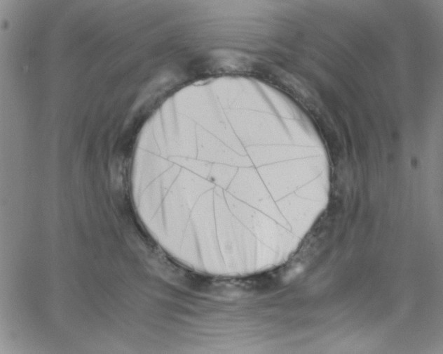 X0000062930423200602101927
