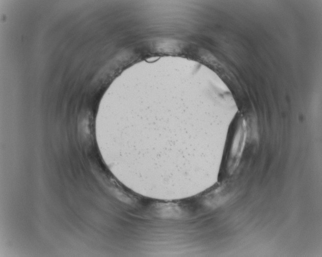 X0000062930424200602101927
