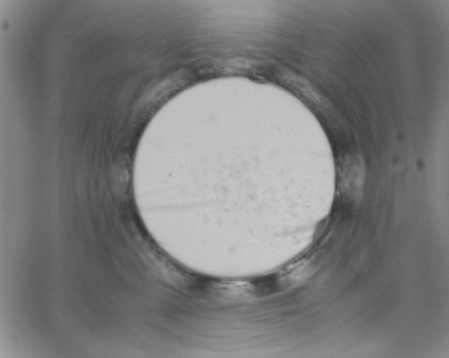 X0000062930427200602101927
