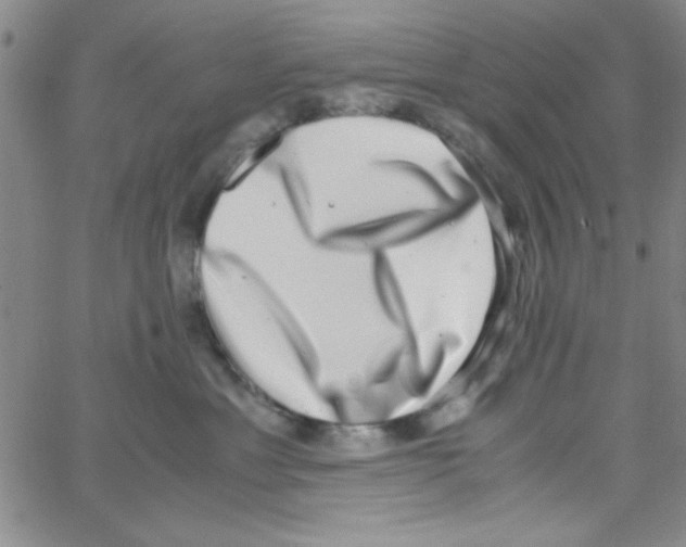 X0000062930429200602101927