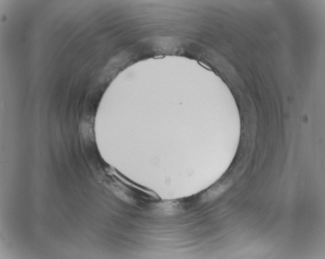 X0000062930432200602101926
