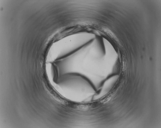 X0000062930444200602101926