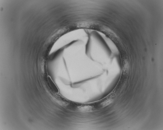 X0000062930452200602101926