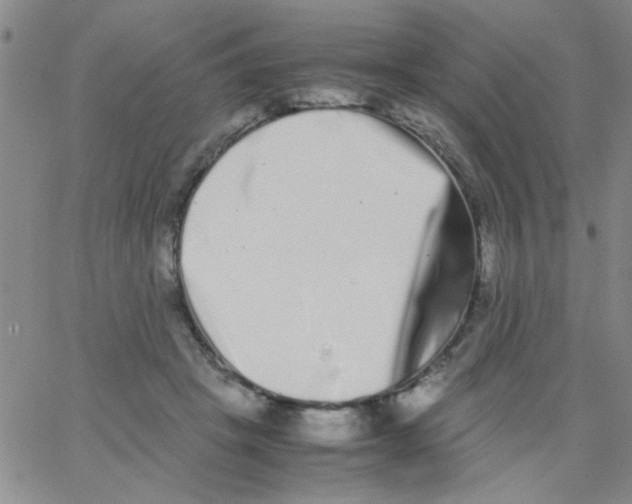 X0000062930457200602101926