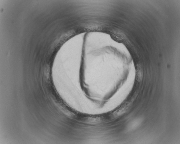 X0000062930458200602101926