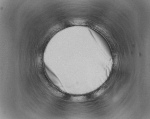 X0000062930461200602101926
