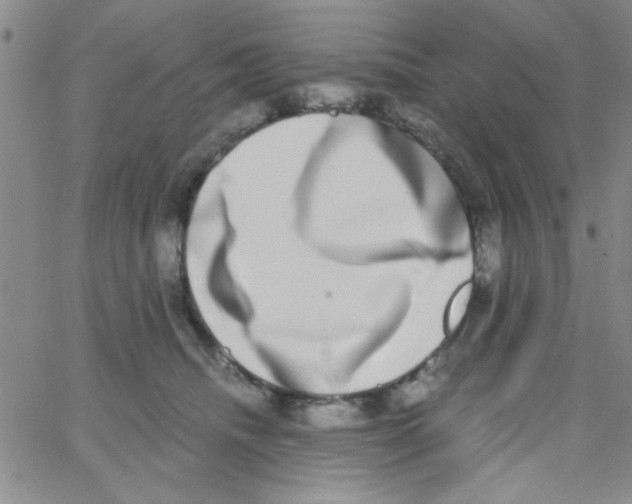X0000062930468200602101926