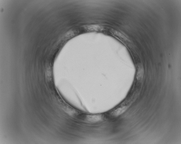 X0000062930469200602101926