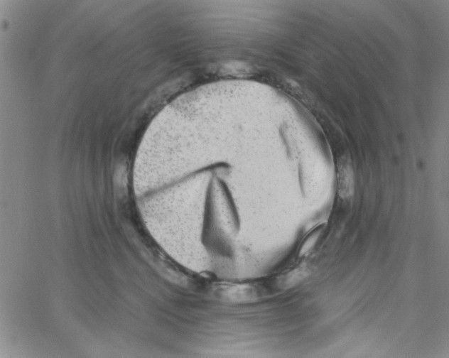 X0000062930472200602101926