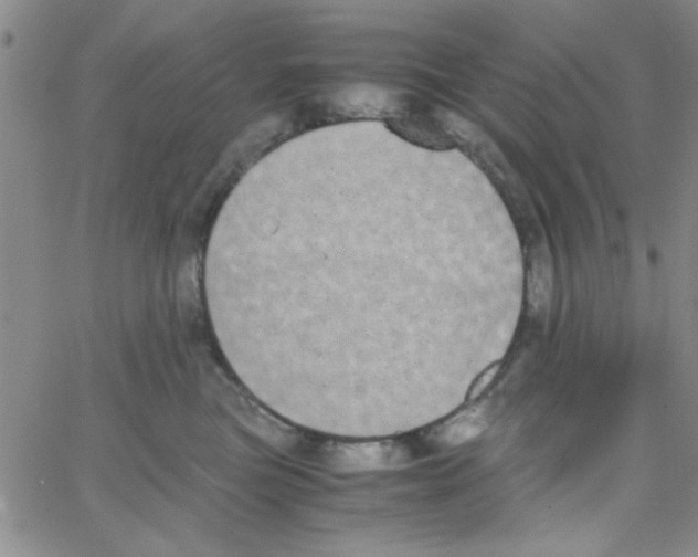 X0000062930473200602101926