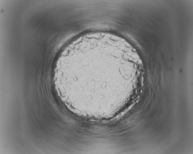 X0000062930487200602101926