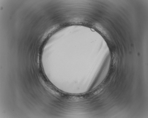 X0000062930494200602101925