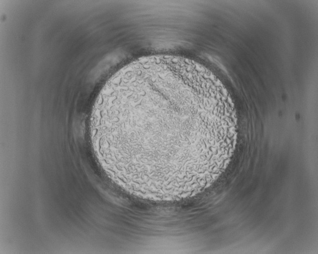 X0000062930495200602101925