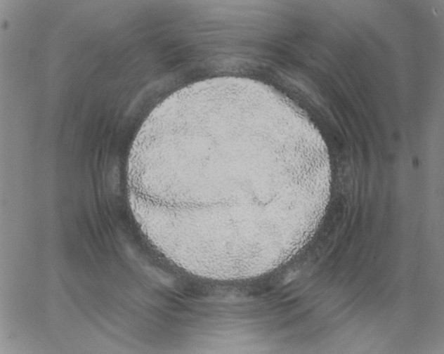 X0000062930502200602101925