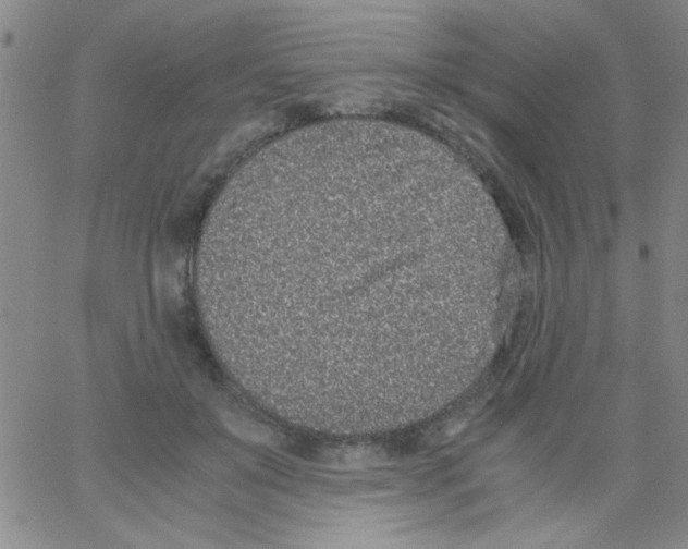 X0000062930503200602101925