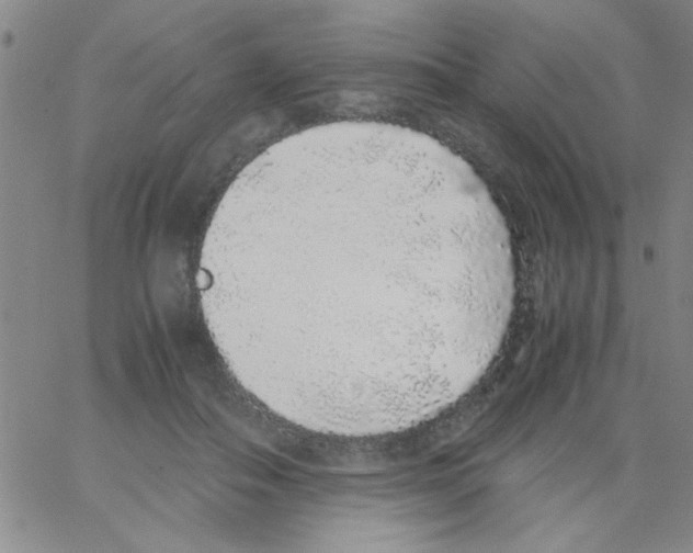 X0000062930506200602101925