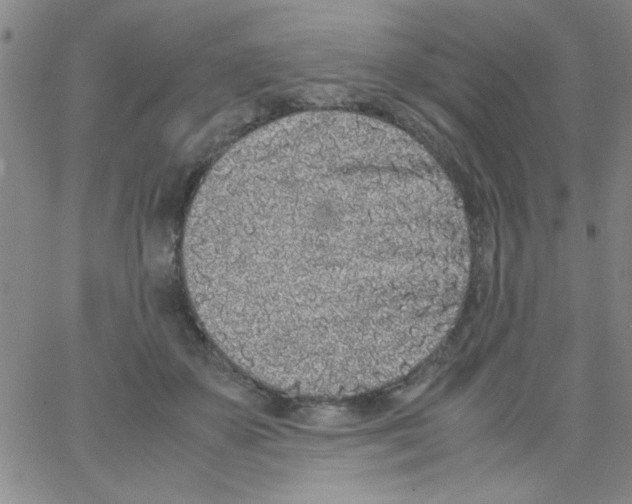 X0000062930507200602101925