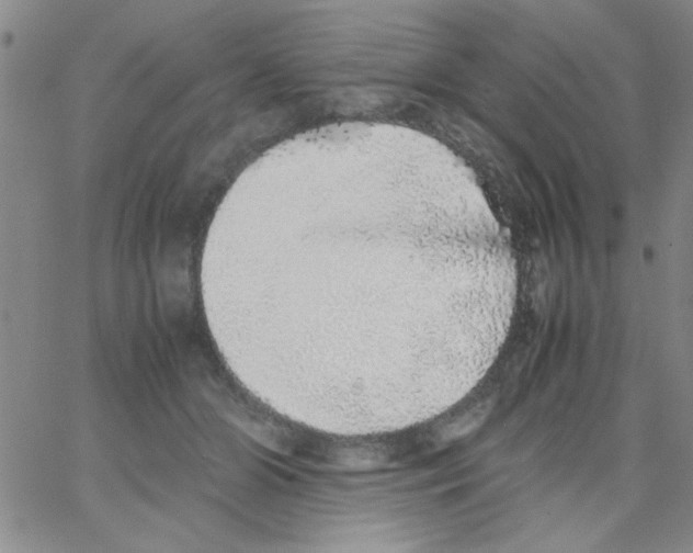 X0000062930510200602101925