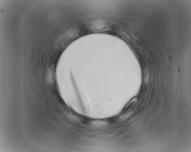X0000062930515200602101925