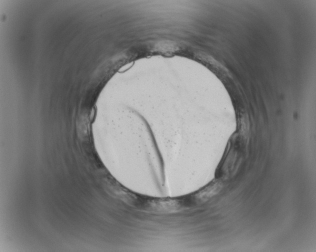 X0000062930517200602101925