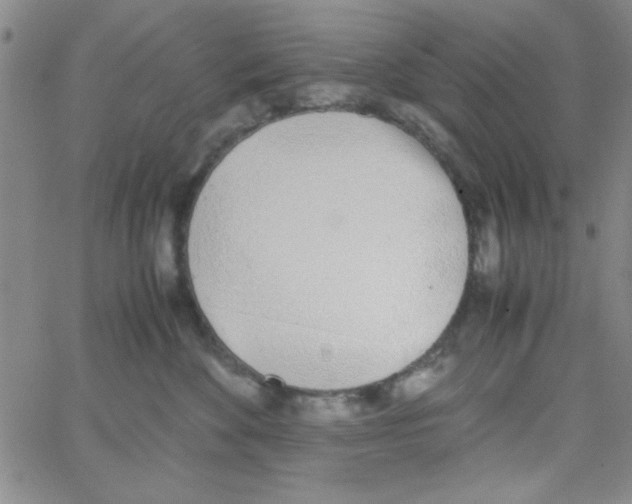 X0000062930524200602101925