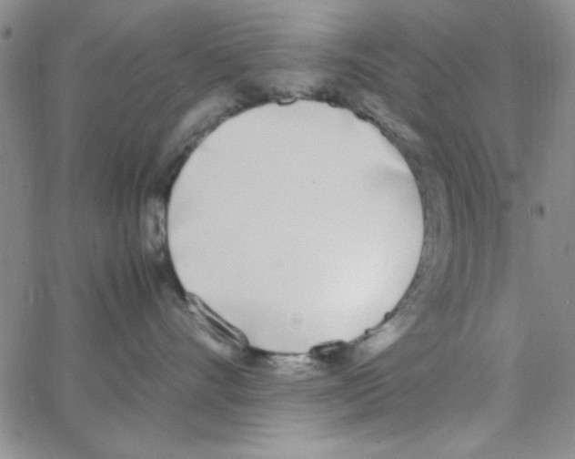 X0000062930528200602101925