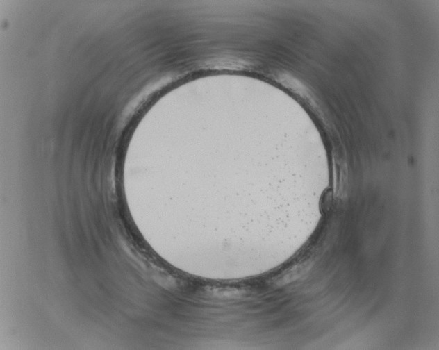 X0000062930531200602101924