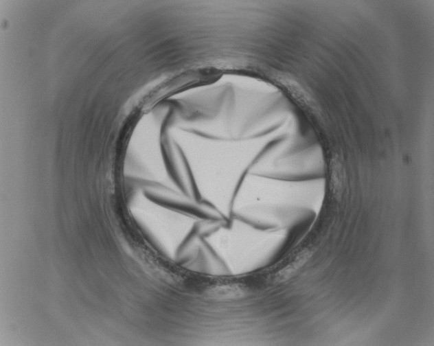 X0000062930536200602101924