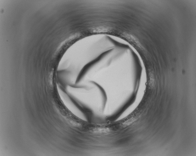 X0000062930543200602101924