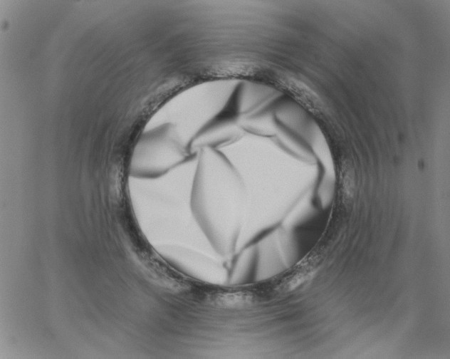 X0000062930546200602101924