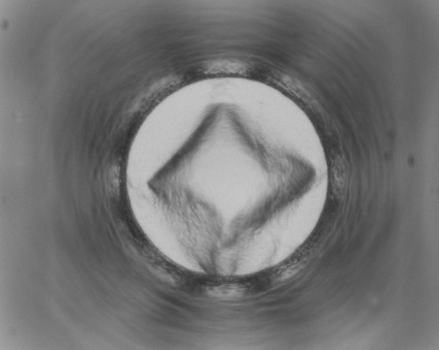 X0000062930551200602101924