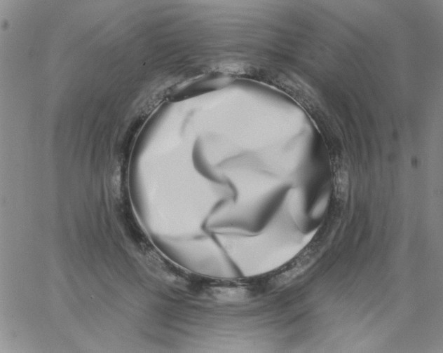 X0000062930552200602101925