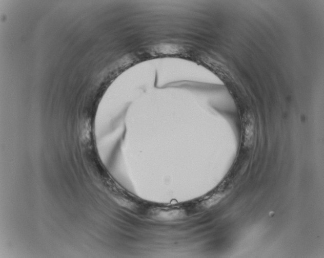X0000062930555200602101925