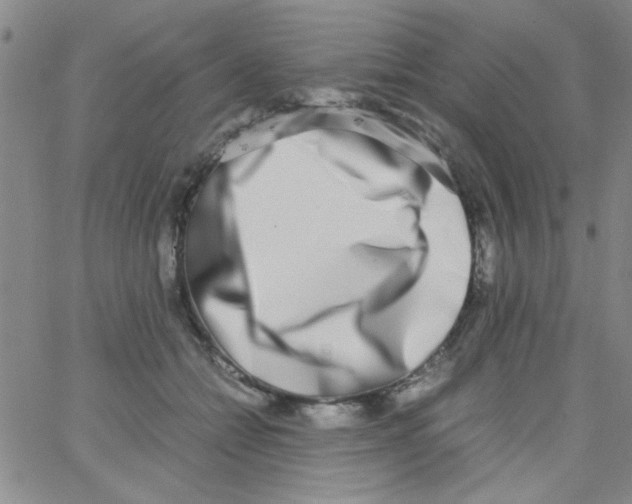 X0000062930558200602101925