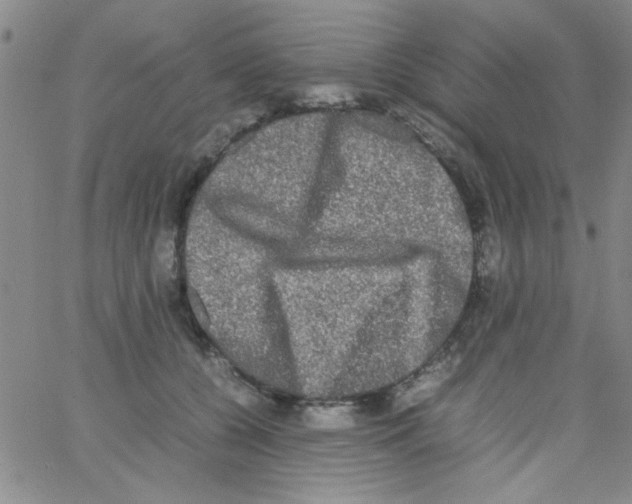 X0000062930560200602101925