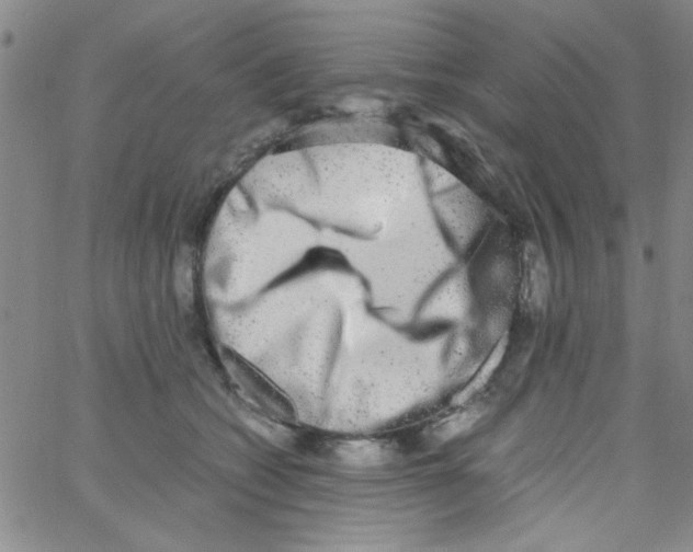 X0000062930562200602101925