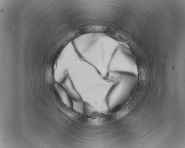 X0000062930564200602101925