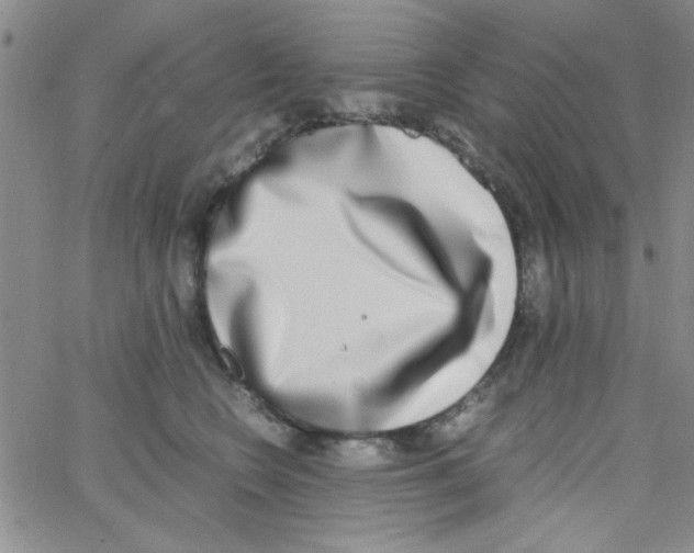 X0000062930566200602101925