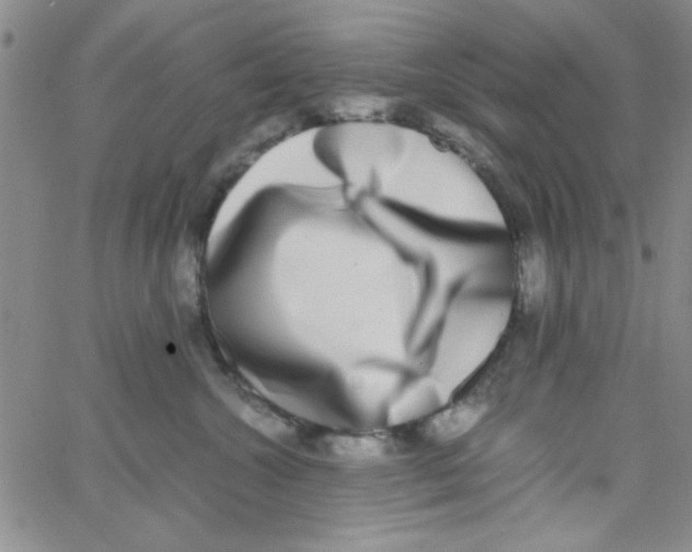 X0000062930572200602101925