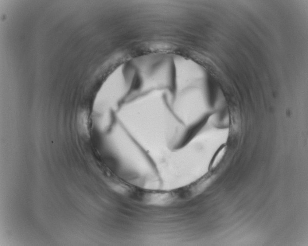 X0000062930575200602101925