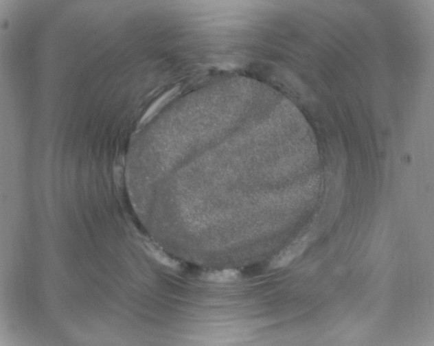X0000062930576200602101925