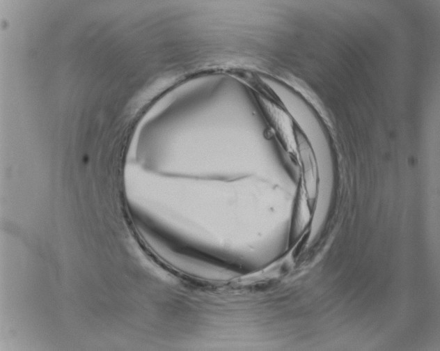 X0000062930577200602101924