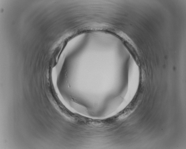 X0000062930581200602101924