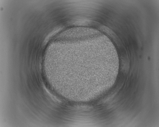 X0000062930586200602101924