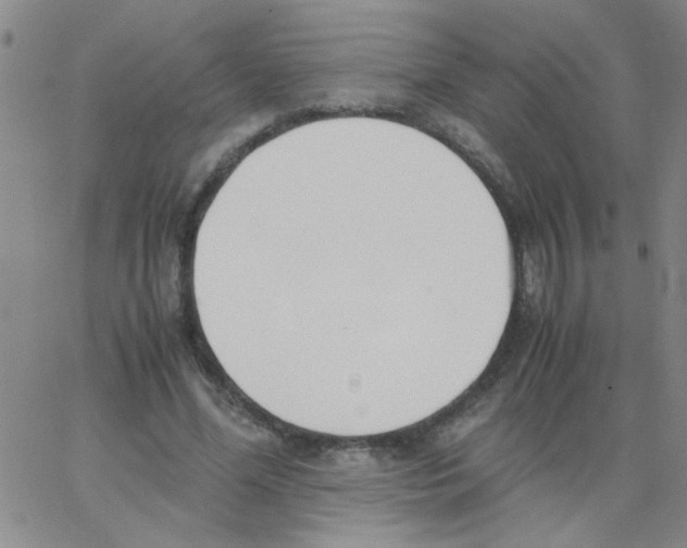 X0000062930588200602101924