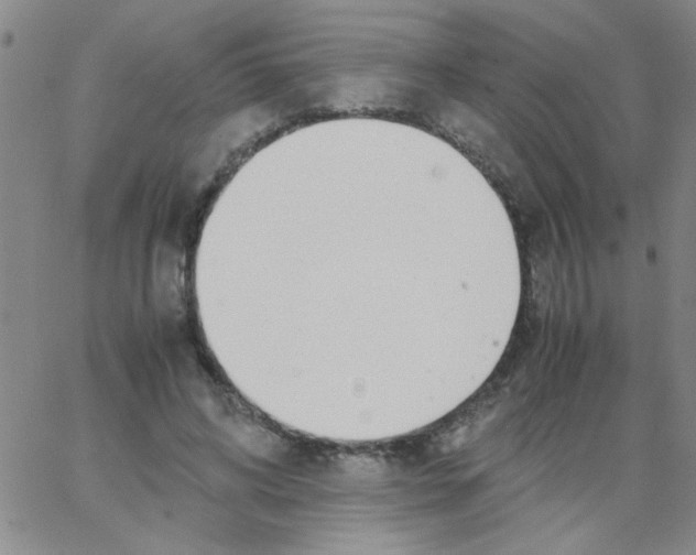 X0000062930592200602101924