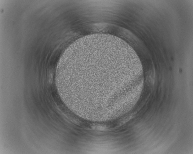 X0000062930602200602101924
