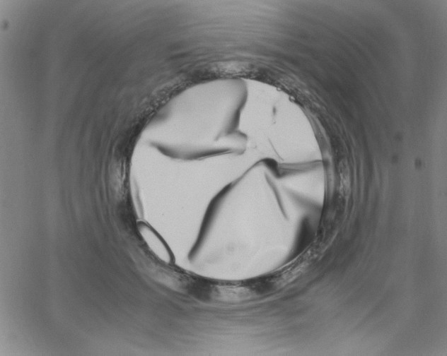 X0000062930605200602101924